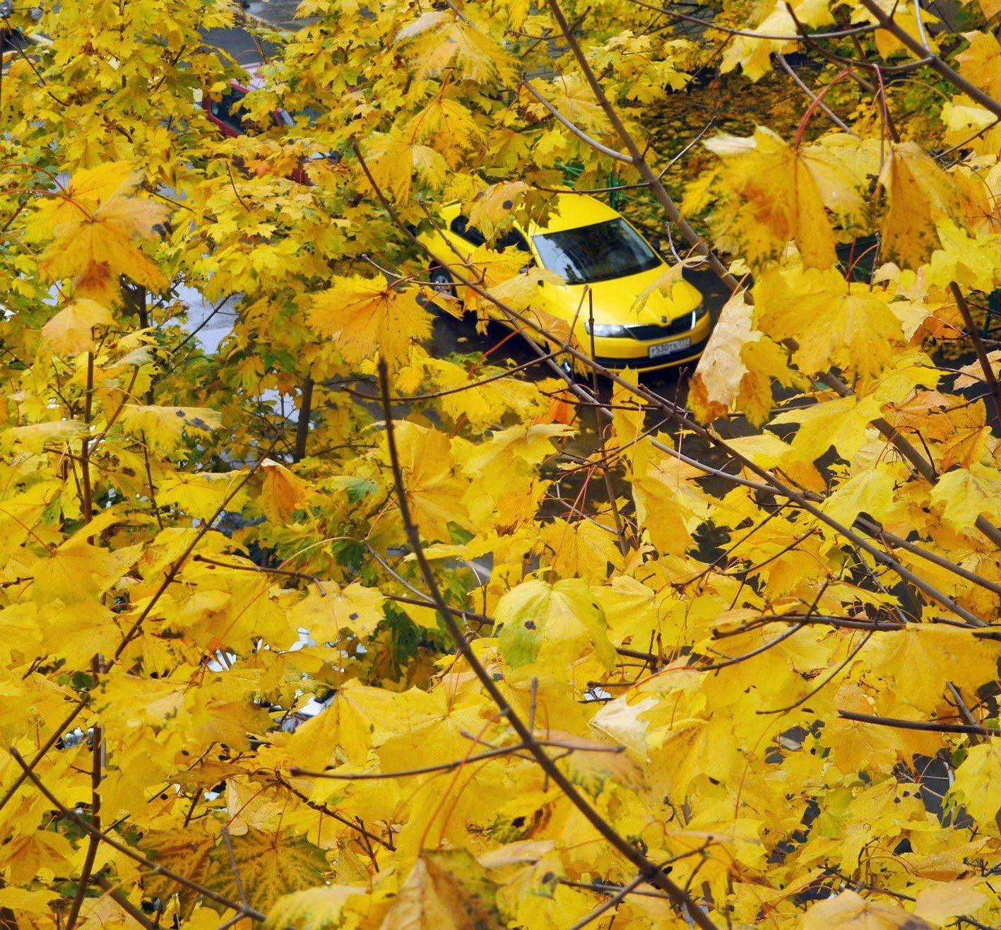 , Влад Сидорак