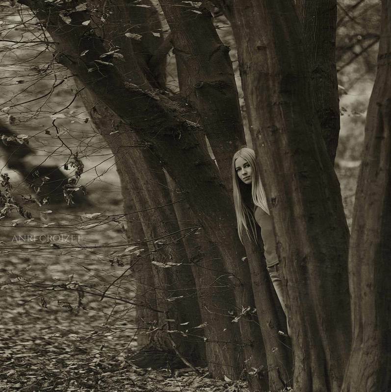 Феерия чувств.... фото превью