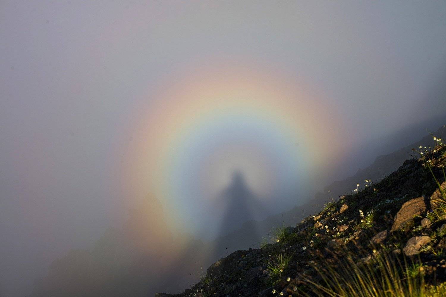 брокенский призрак, глория, Хасан Журтов