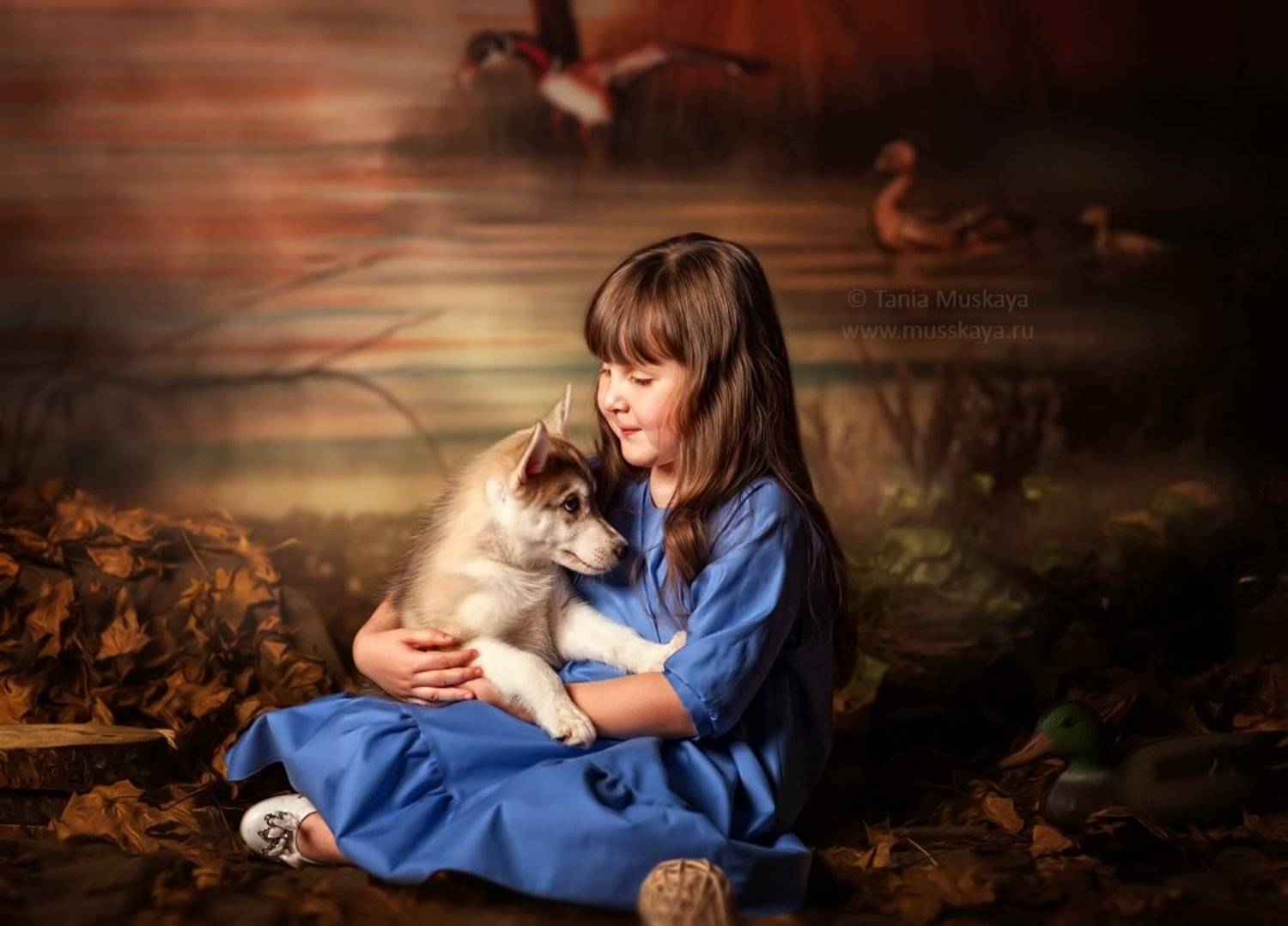 фотосессия с хаски, Мусская Татьяна