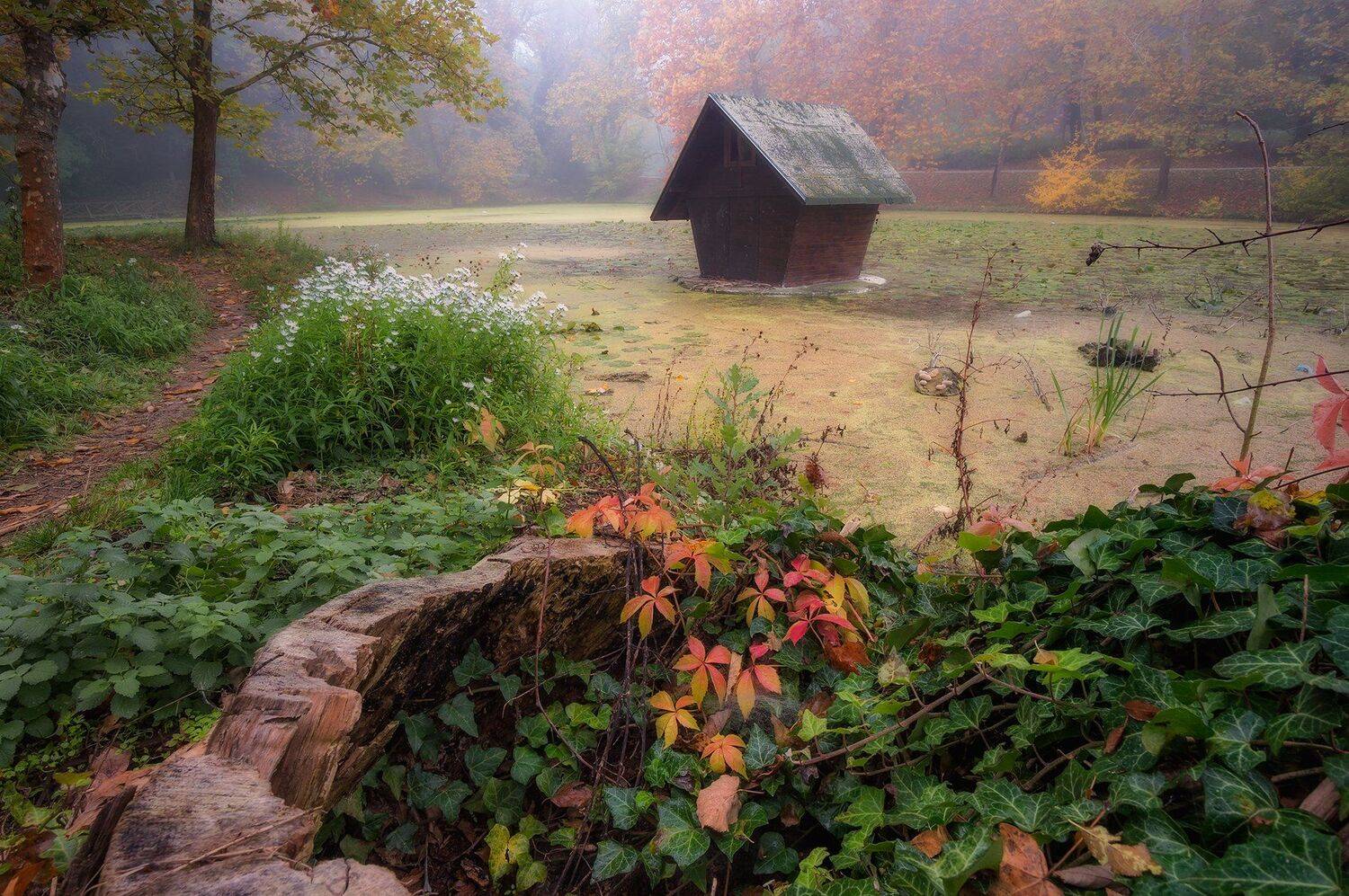 Misty morning. Автор: Peter Naydenov , Peter Naydenov
