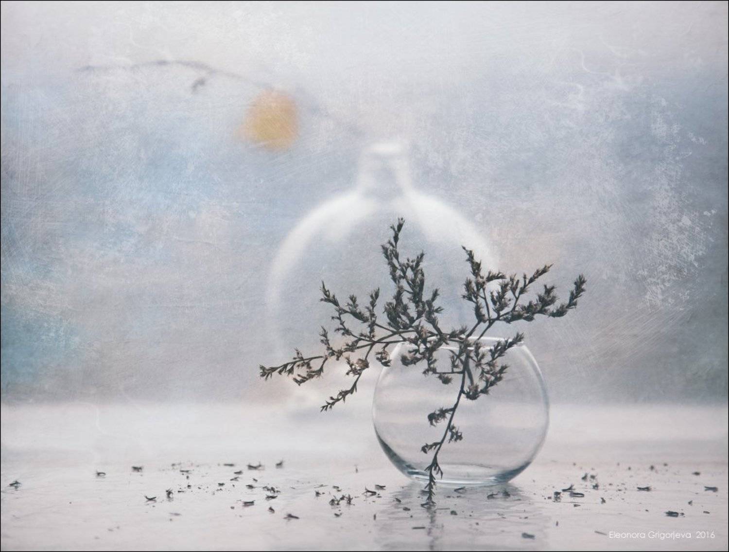 , Eleonora Grigorjeva