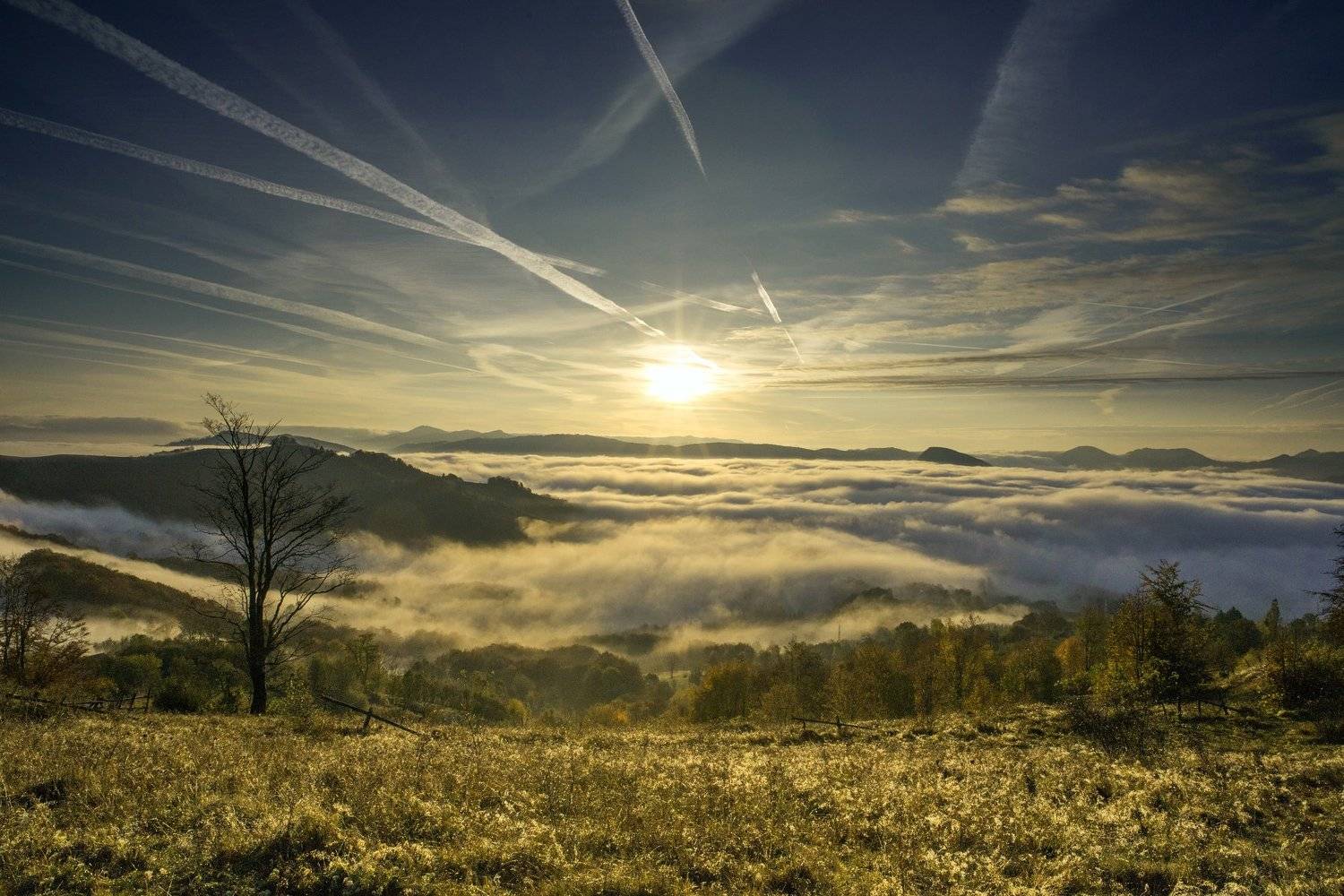 MORNING,MIST,SUNSET,FOG,TREE,HILLS,SUN,COLORS, Marius Turc