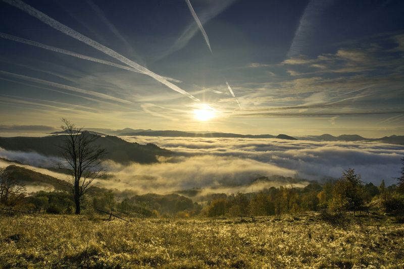 MORNING,MIST,SUNSET,FOG,TREE,HILLS,SUN,COLORS The last one... фото превью
