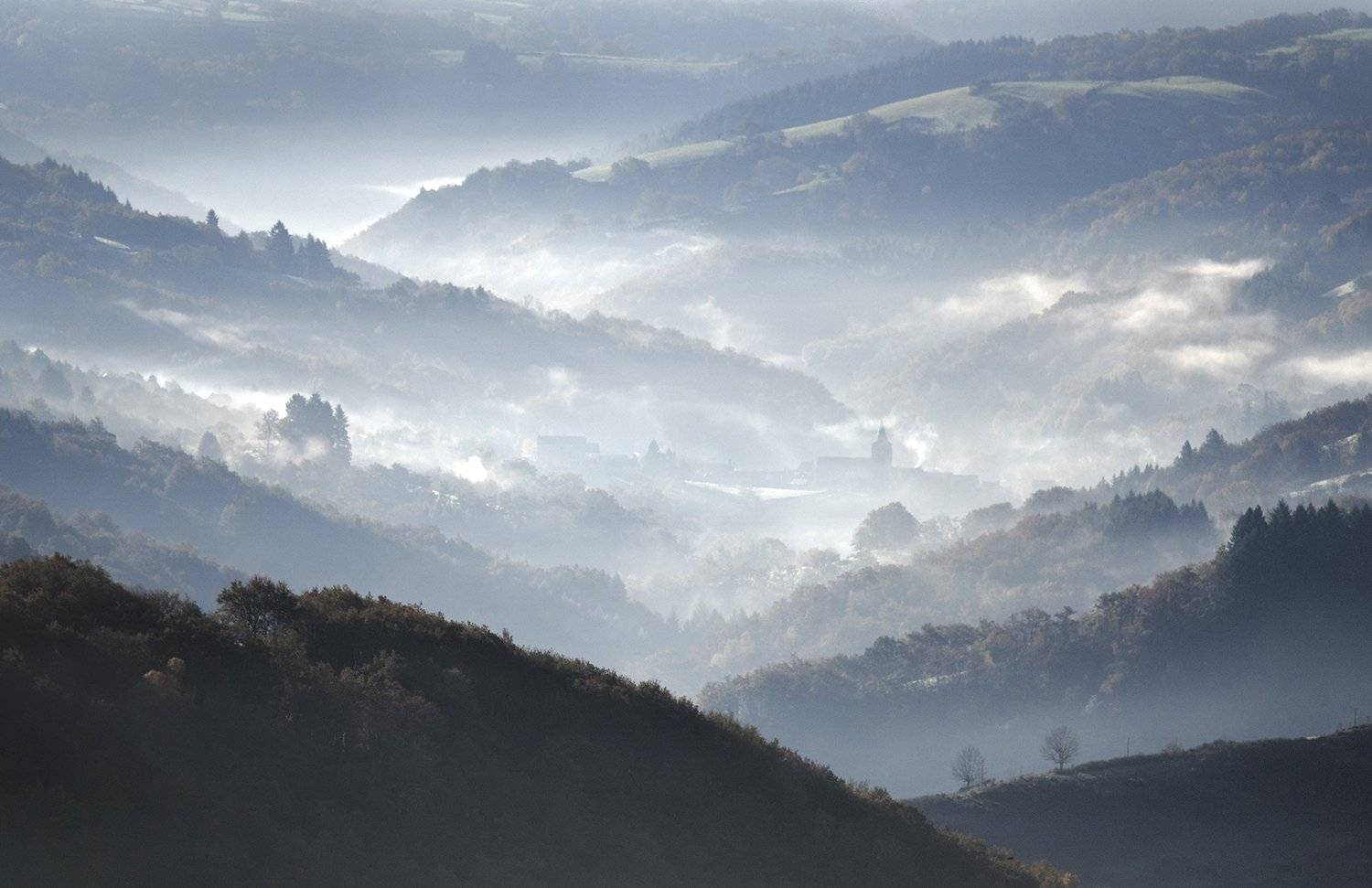 , Danny Vangenechten