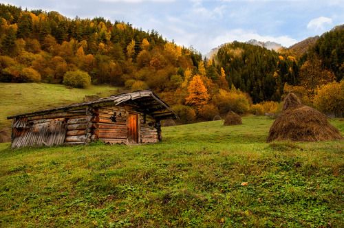 House of autumn