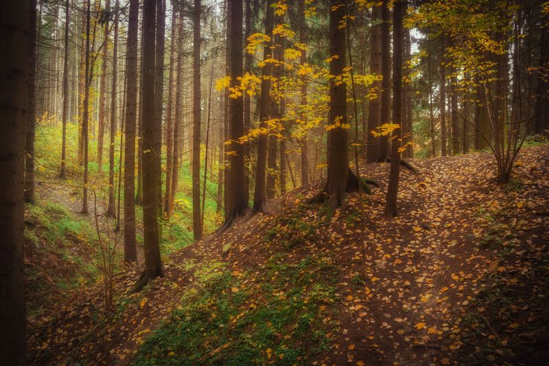 Красногорск Октябрь фото превью