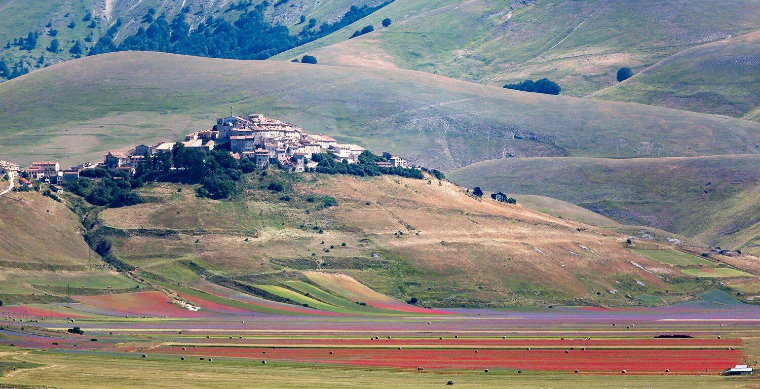 , Лядимов Дмитрий