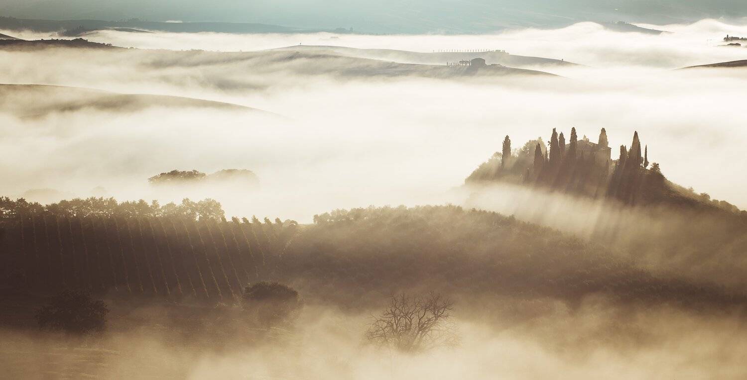 , Игорь Криницын