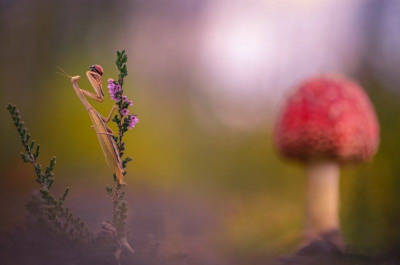 А поговорить... фото превью