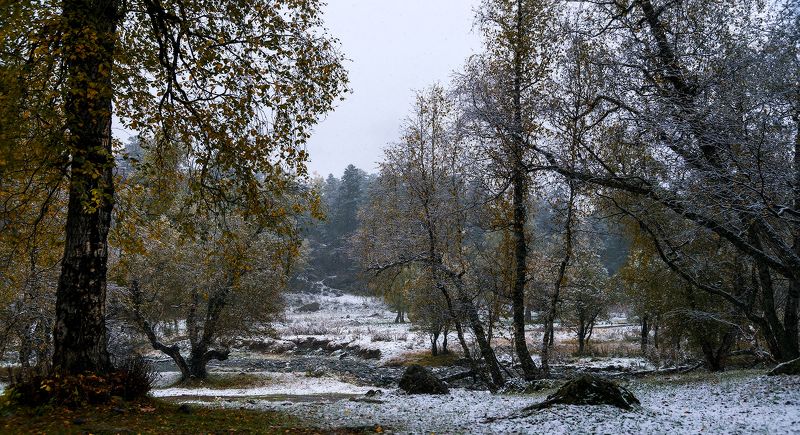Про встречу осени с зимой фото превью