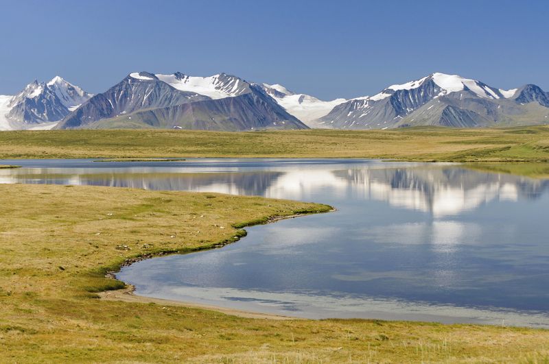 укок голубоглазый Кальджин-Коль фото превью