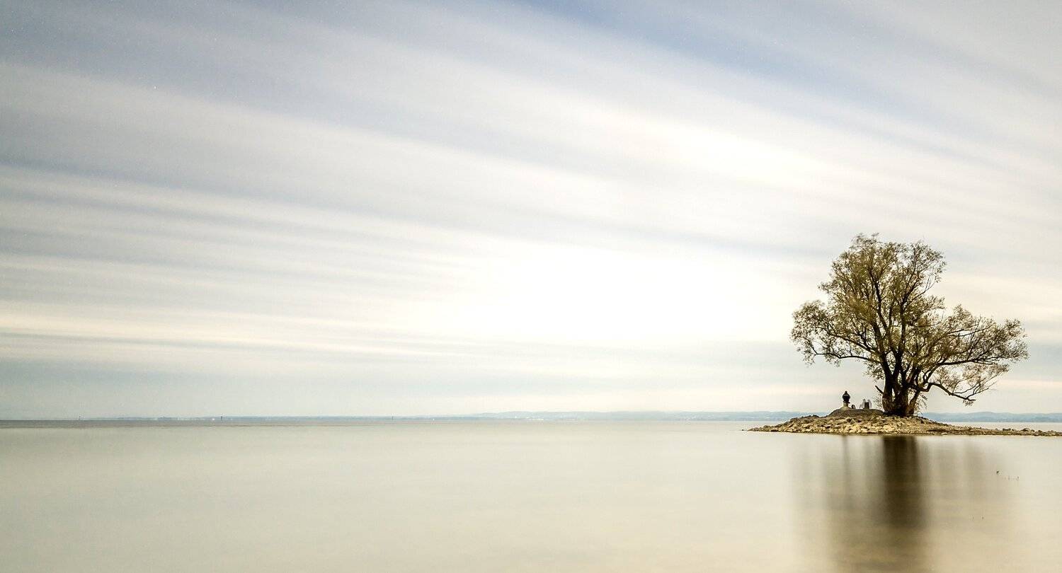 tree,long exposure,boden lake,, Felix Ostapenko
