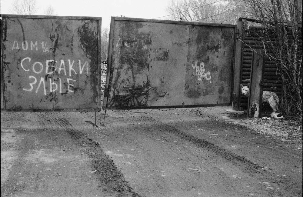 , Александр Савельев