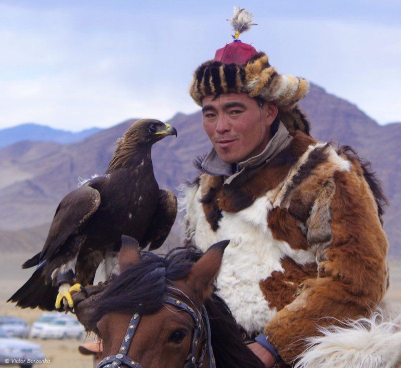 беркут, беркутчи, монголия, орел, охотник *** фото превью