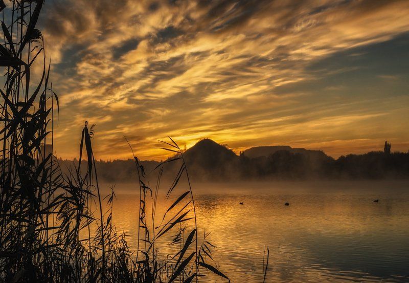 Ещё до рассвета фото превью