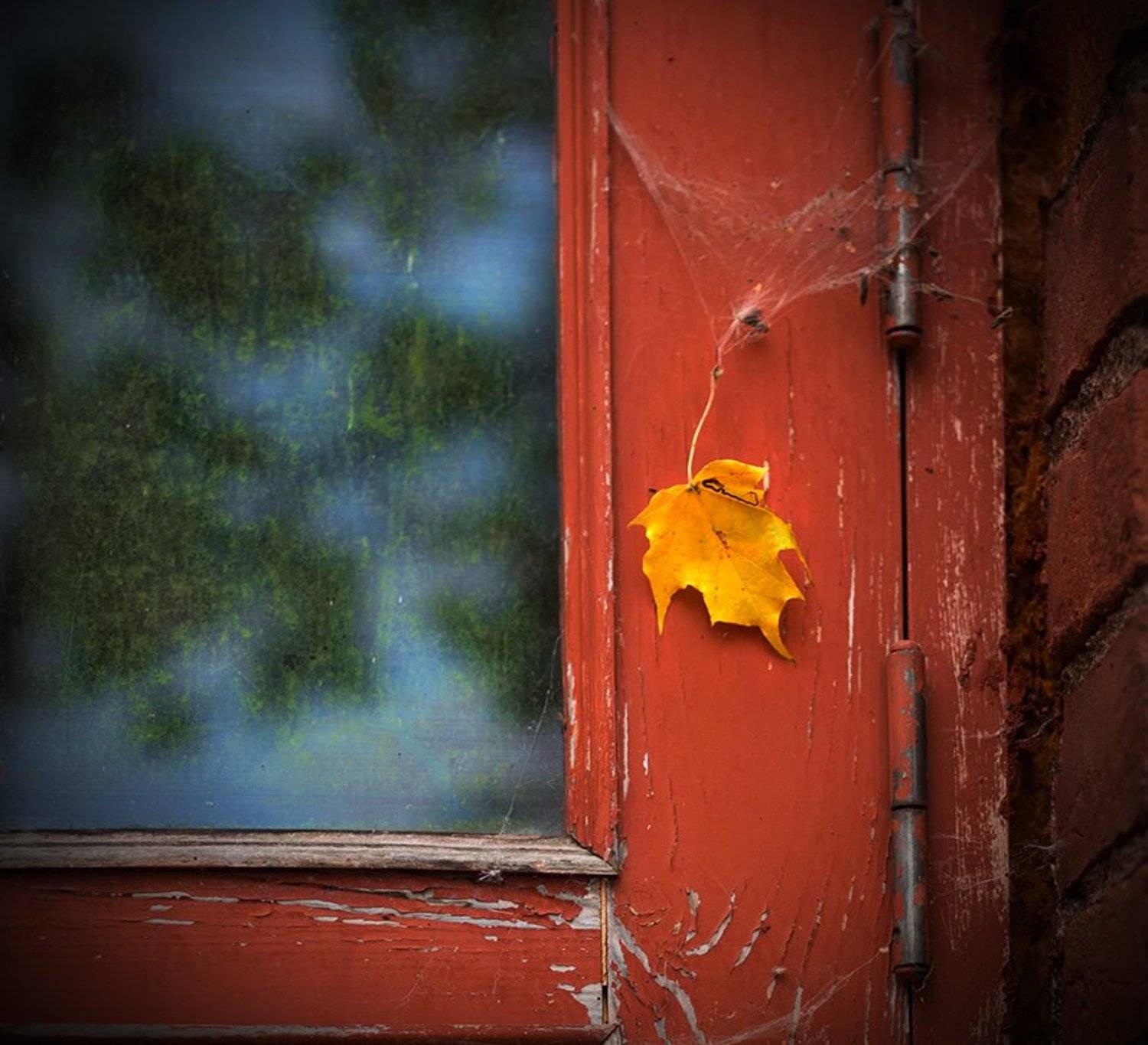 , Анна Кудрявцева