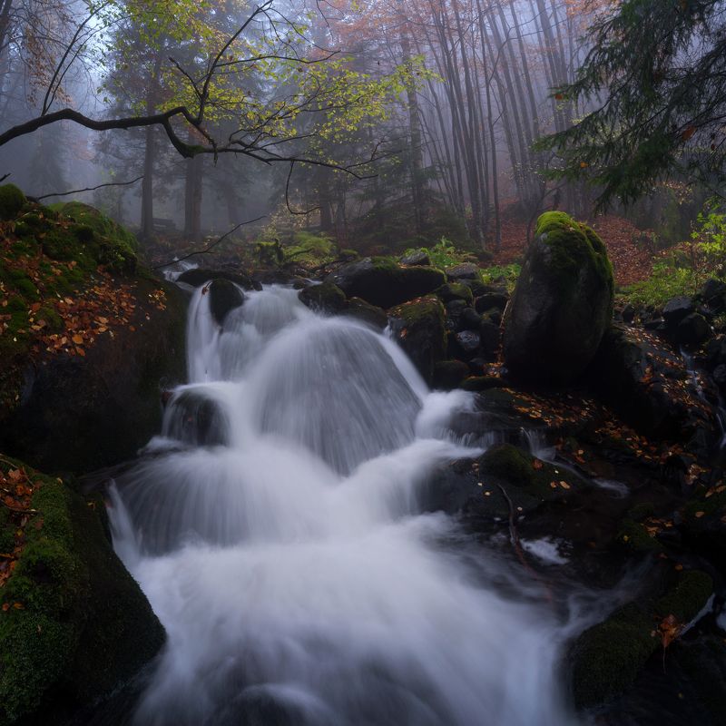 Бистришка есен фото превью