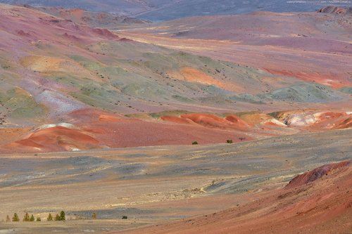 Долина ручья Кызыл-Чин