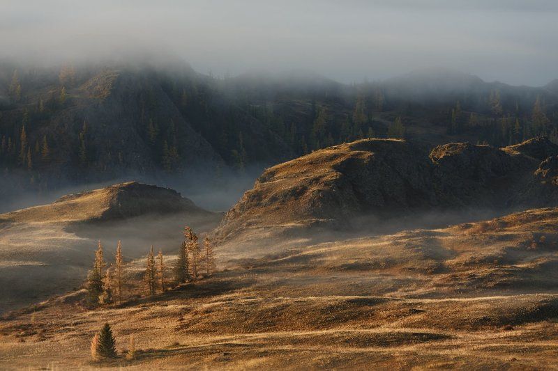 Молочных рек предутренняя свежесть фото превью
