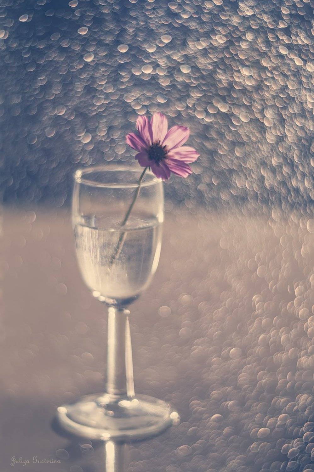 , Юлия Густерина