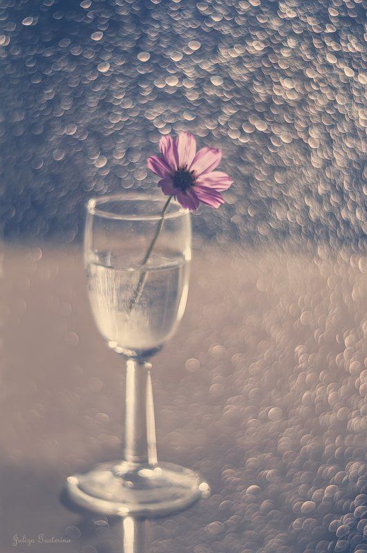 про космейку фото превью