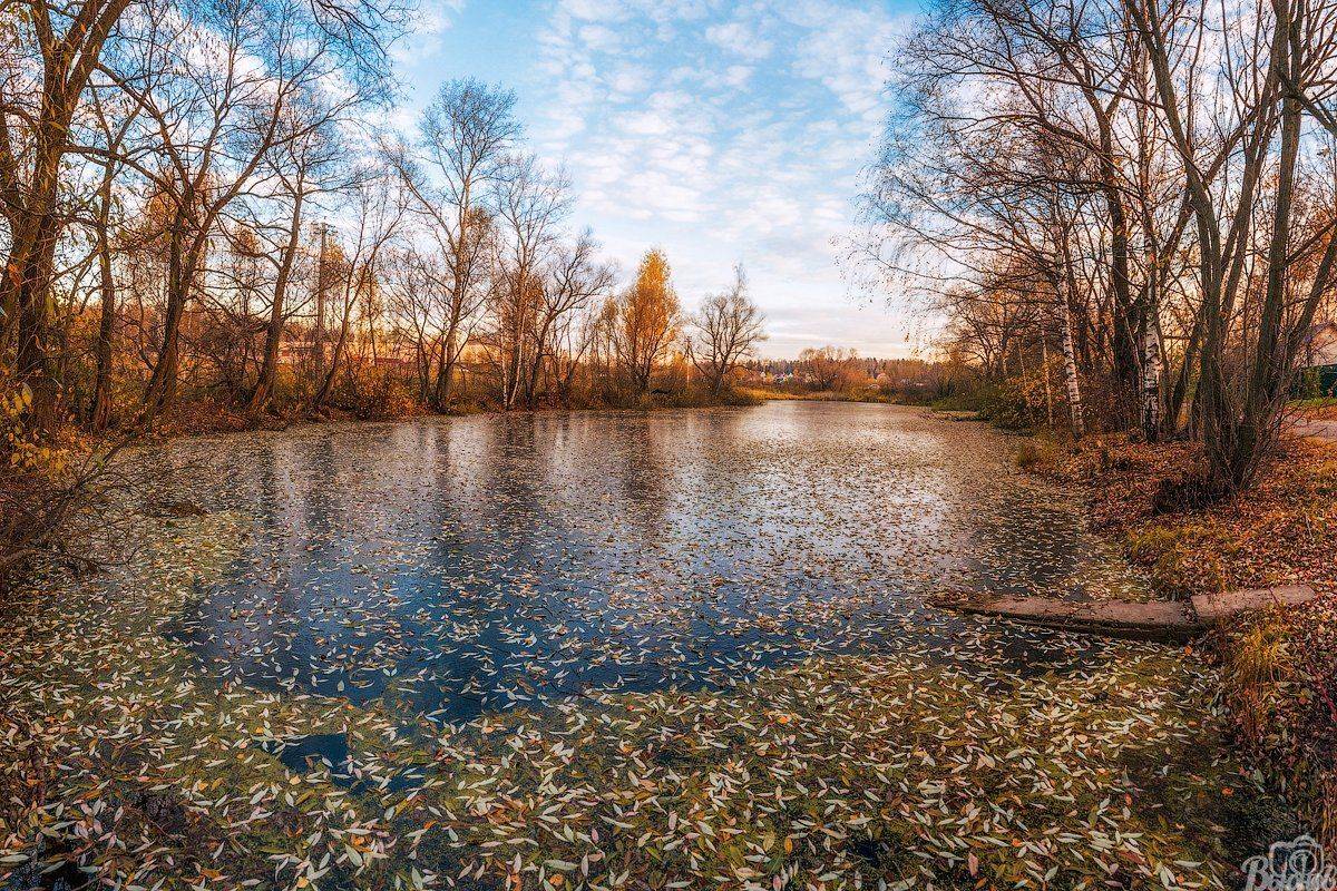 долгопрудный,лёд,осень,хлебниково,павельцево,, Сергей Вьюнов