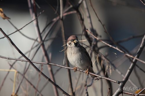Надо утепляться.