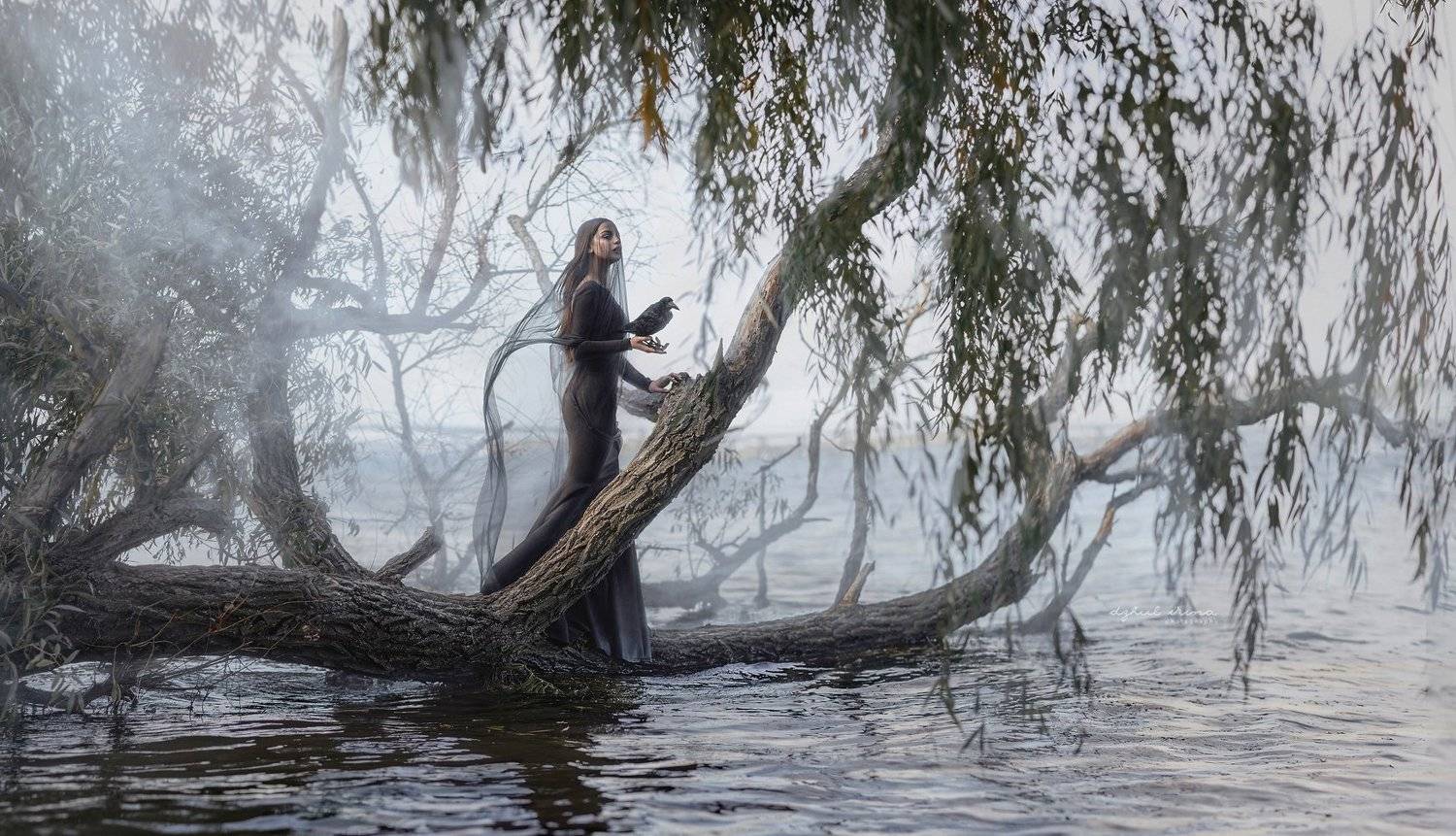 people portreit girl raven smoke water black, Ирина Джуль