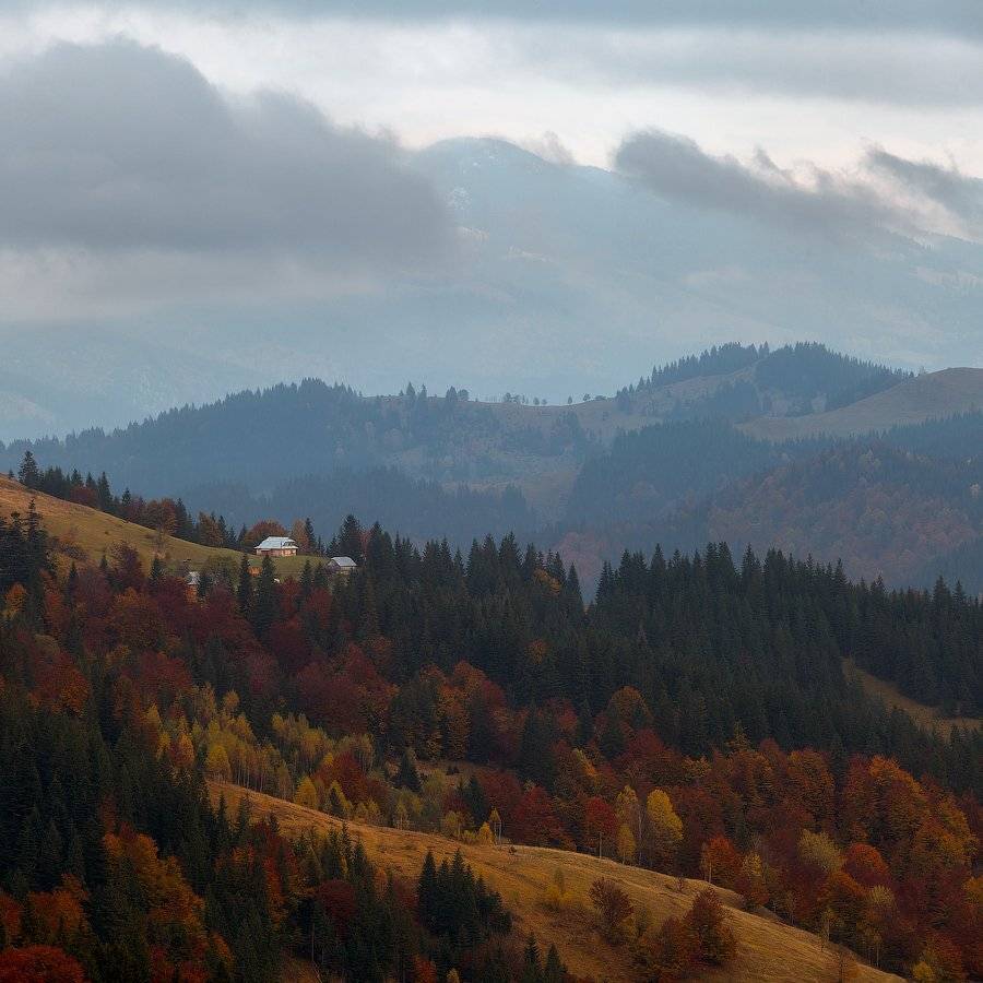 , Ярослав Тюрменко (Jaremi)