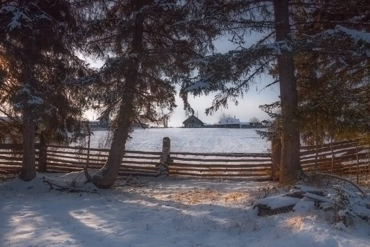 , Николай Морский