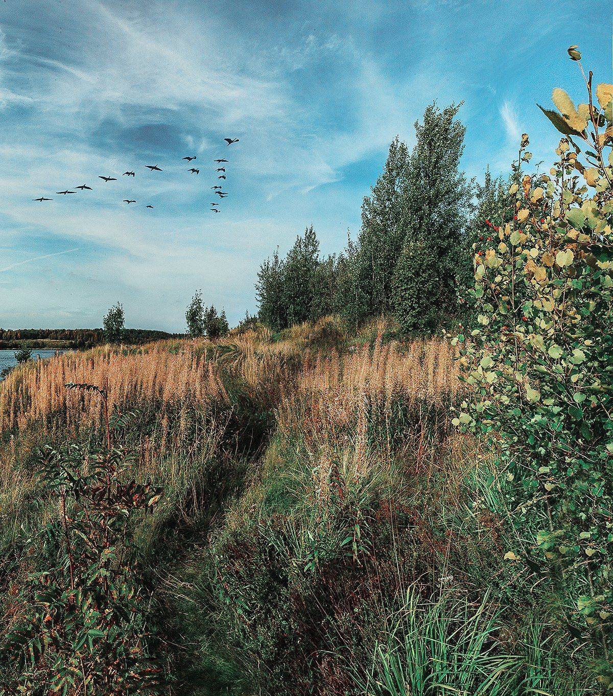 #art #illustration #drawing #draw #picture #photography #artist #sketch #sketchbook #paper #pen #pencil #artsy #instaart #beautiful #instagood #gallery #masterpiece #creative #photooftheday #instaartist #graphic #graphics #artoftheday, Подойницин Геннадий