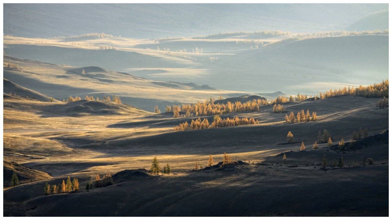 курай, утро, алтай, Галина Хвостенко