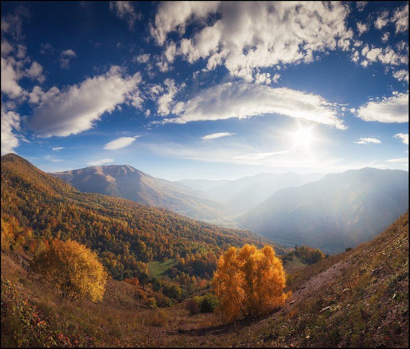 Золотая осень фото превью