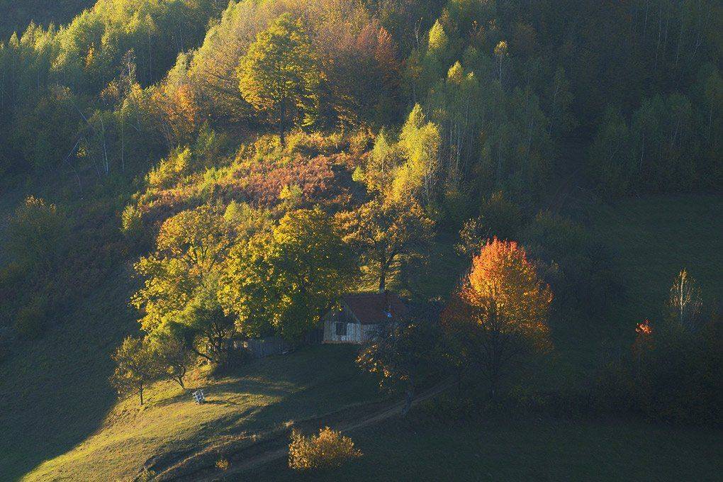 , Stefan Chirobocea