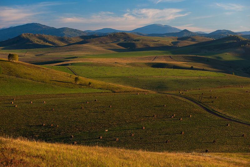 солонешье, алтай, алтайскийкрай, пейзаж, altai, altay, siberia Алтайская Тоскана фото превью