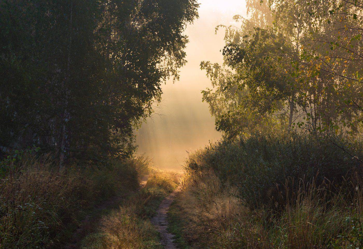 , Галанзовская Оксана