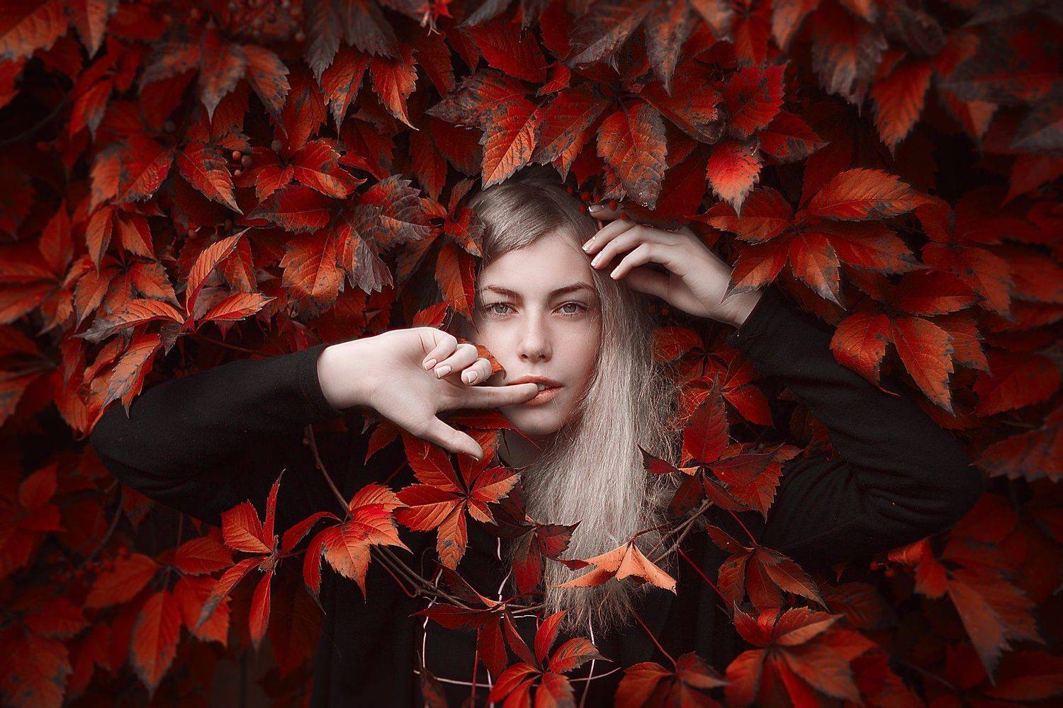 портрет,девушка,осень,цвет,яркий,волосы,красота,portrait,art,creative,girl,beutiful,autumn,red,glamour,young,hair,eyes,skin,sexy, Олег Карсаков