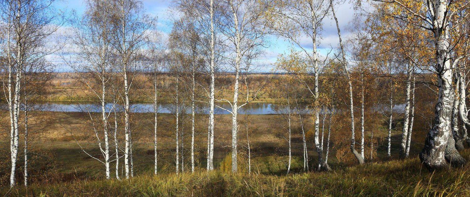 клязьма пирово-городище ярополч-залеский, Дмитрий Алексеев