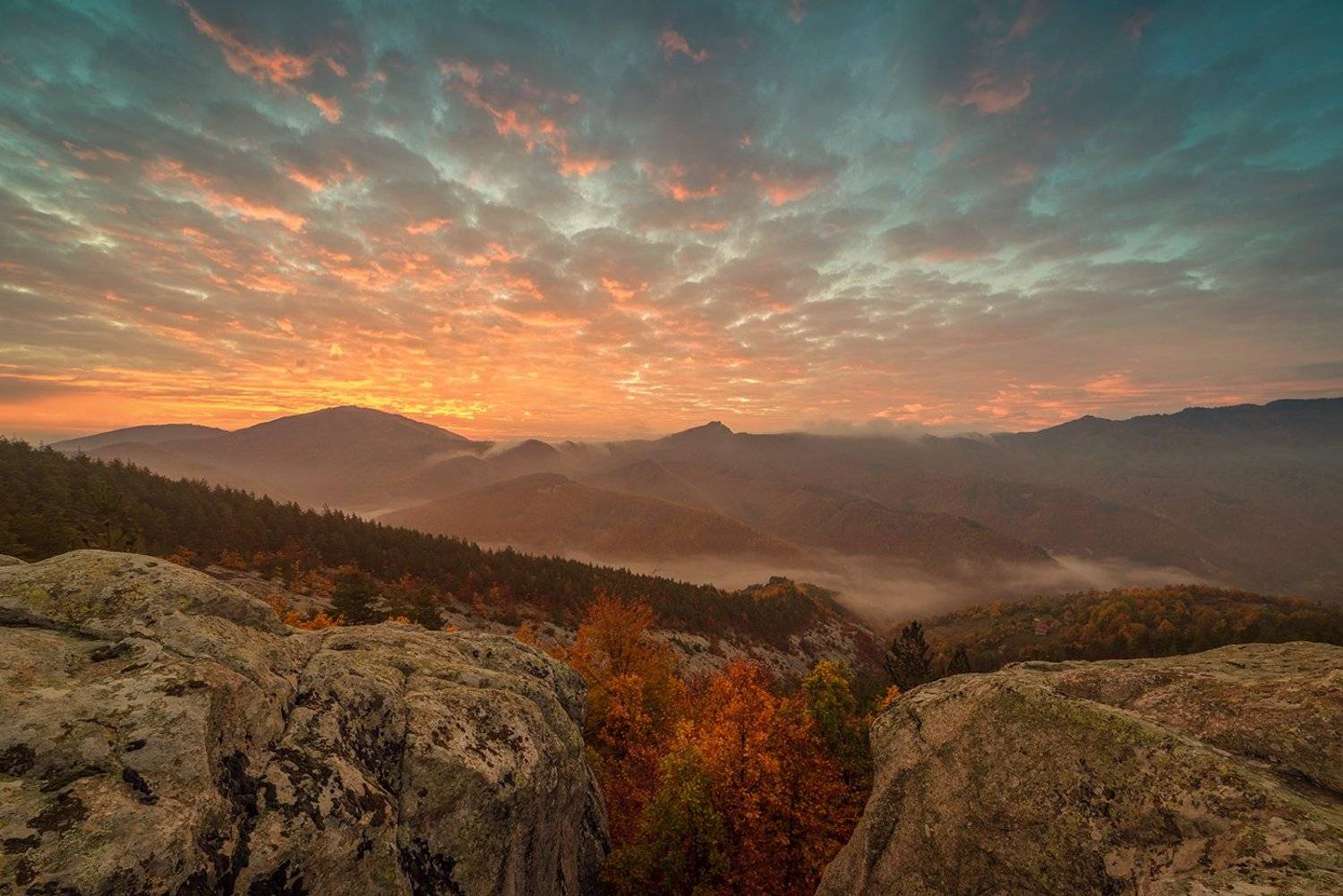 , Васил Анастасовски