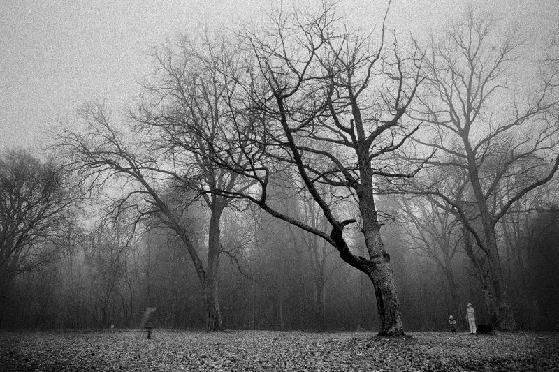 Oblivion. фото превью