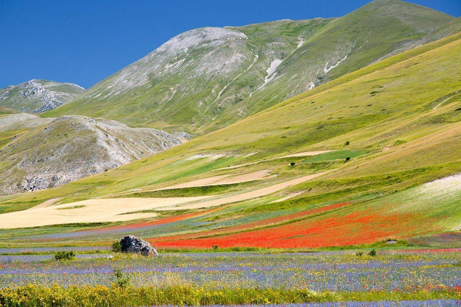 , Лядимов Дмитрий