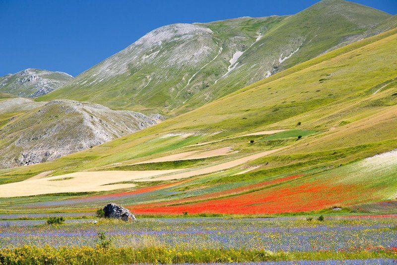 *** фото превью