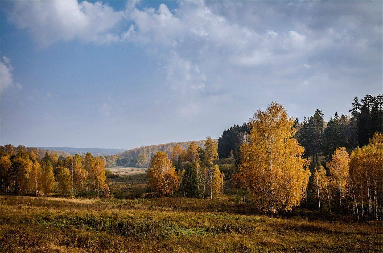 , Анатолий Зверев