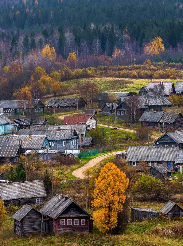 Где живут вепсы фото превью