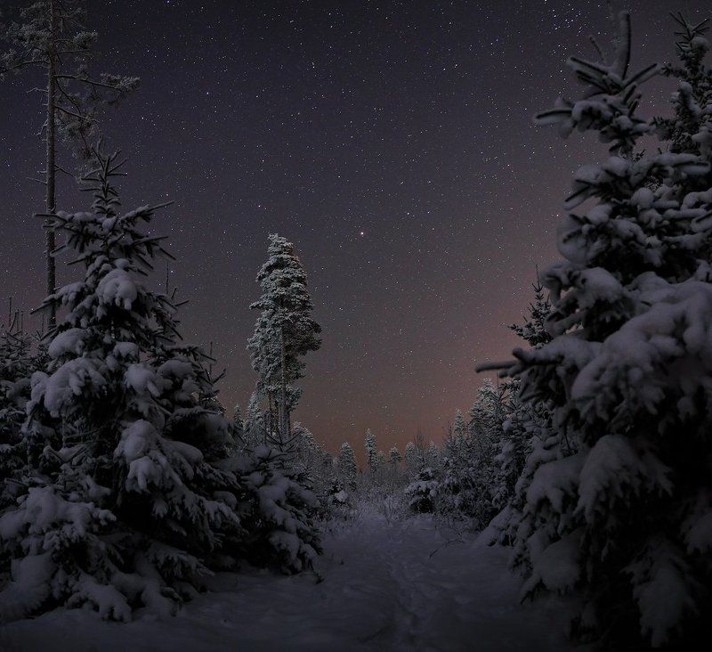 Морозная ночь фото превью