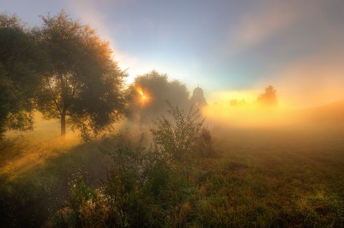 осенние туманы Муринского ручья...