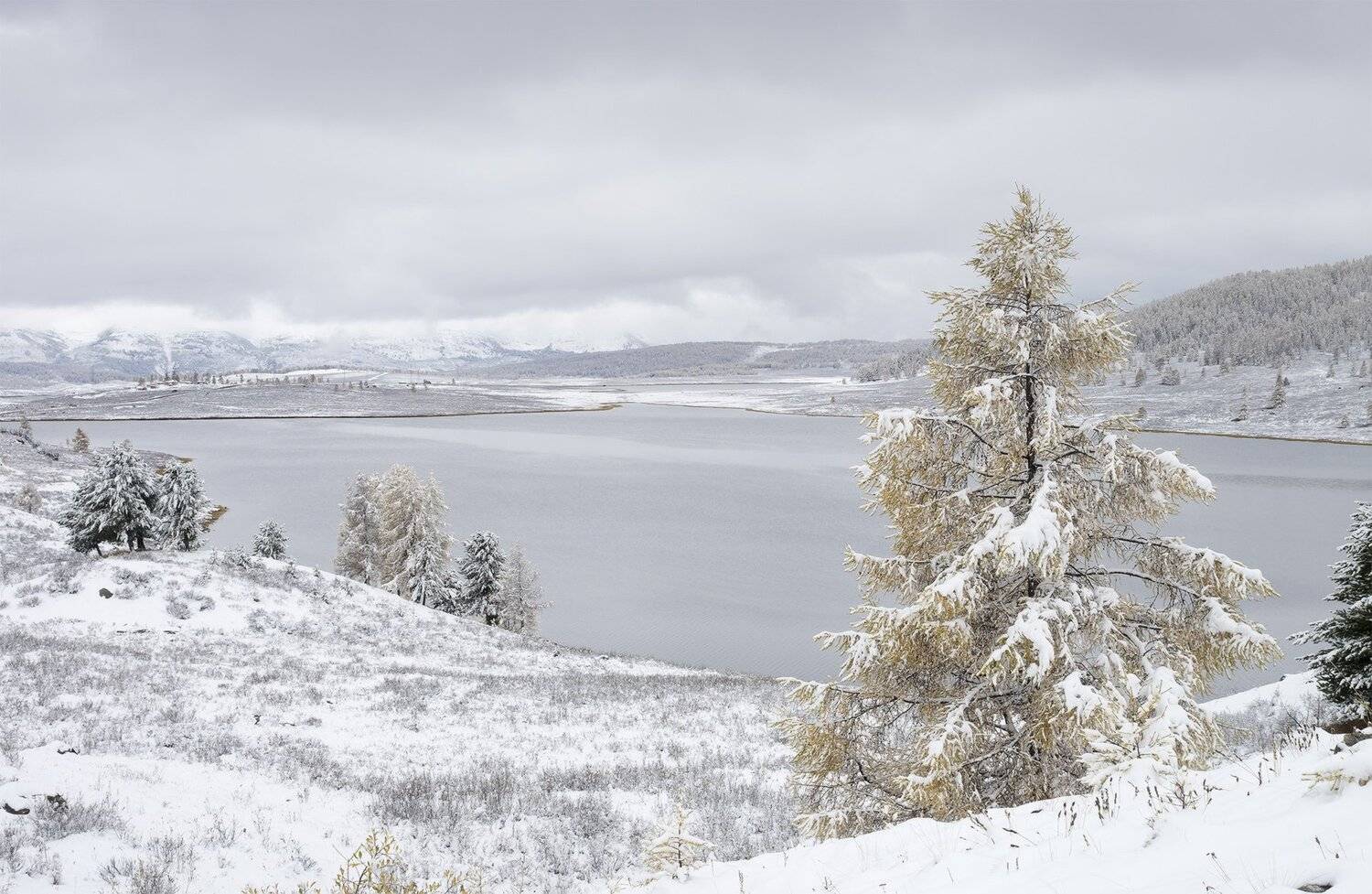 , Лещёнок Александр