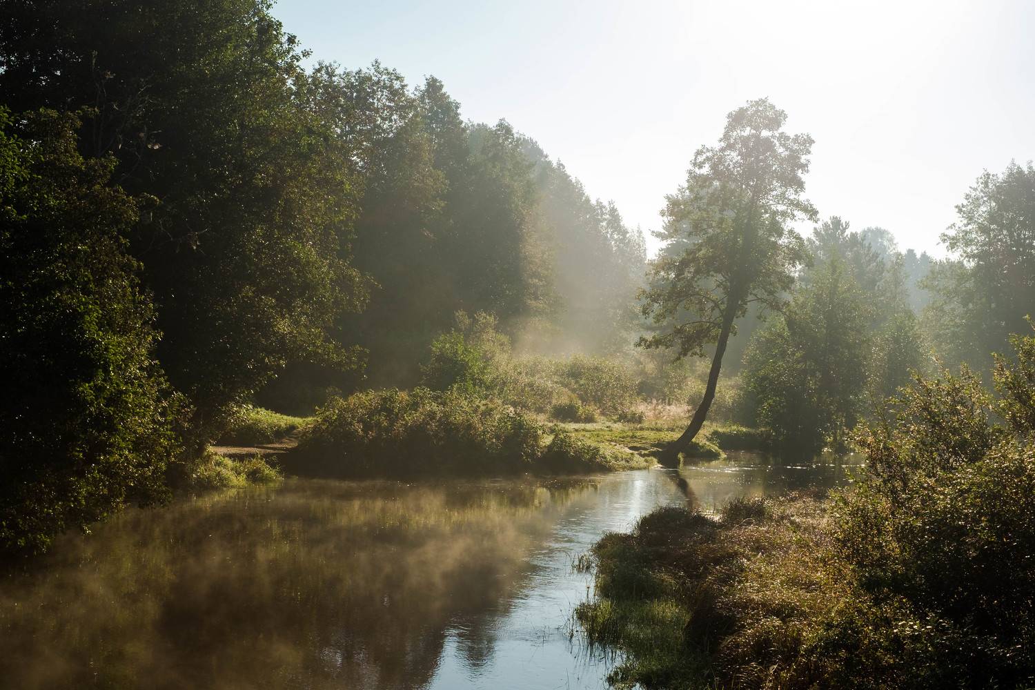утро, Наталья Деменкова