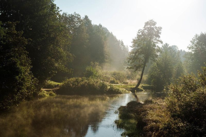Viisjoki фото превью